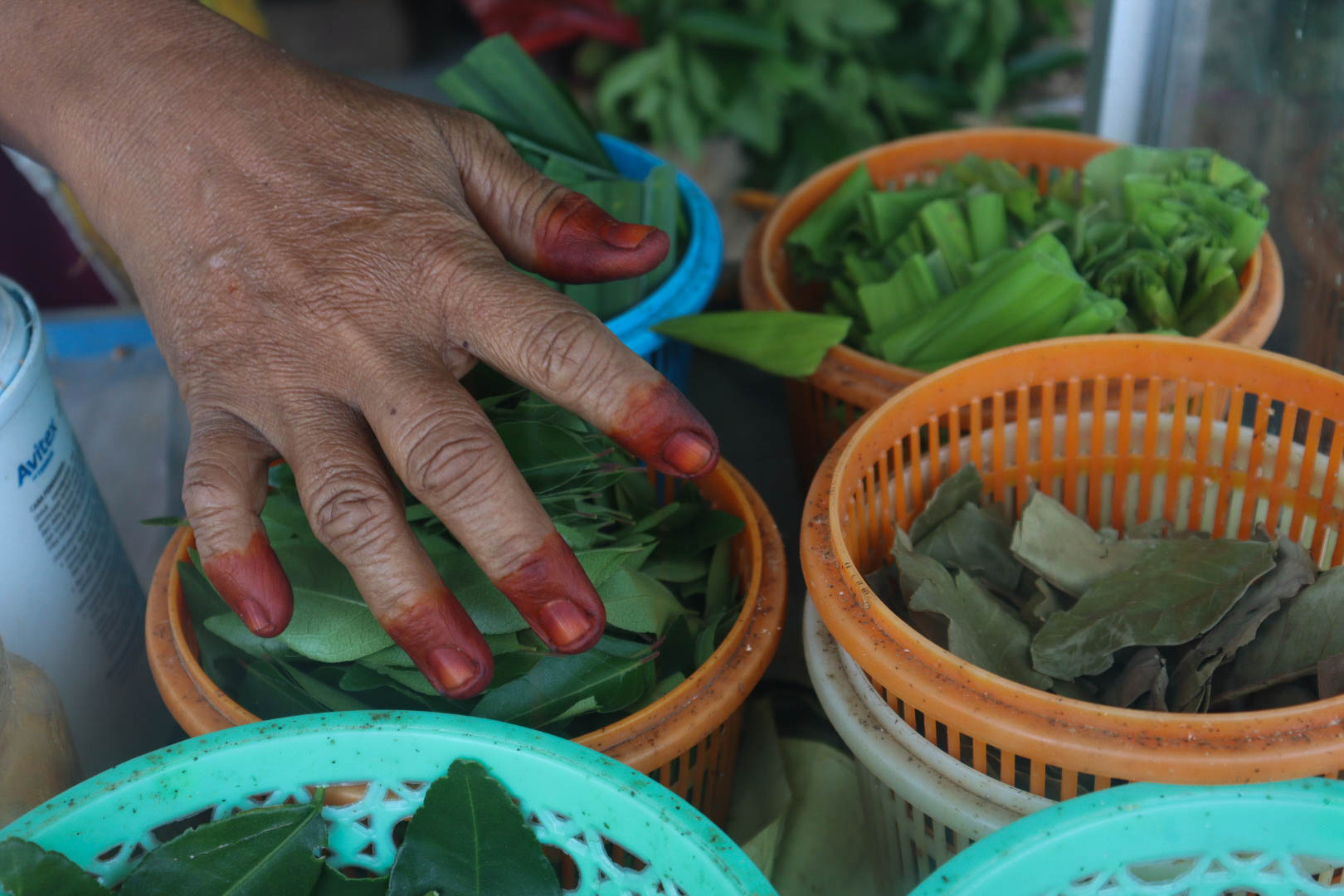 Inai di tangannya berguna untuk menutupi bekas-bekas luka akibat pengerjaan bumbu seperti terkena parutan maupun tajamnya pisau. Padahal ia enggan menggunakan inai tersebut karena ketika sedang makan akan tercium bau khas dari inai di jemarinya, tetapi untuk menutupi luka-luka tersebut ia rutin mengunakan inai yang terbuat dari daun pacar. FOTO/Lensakita/Febby Andriyani