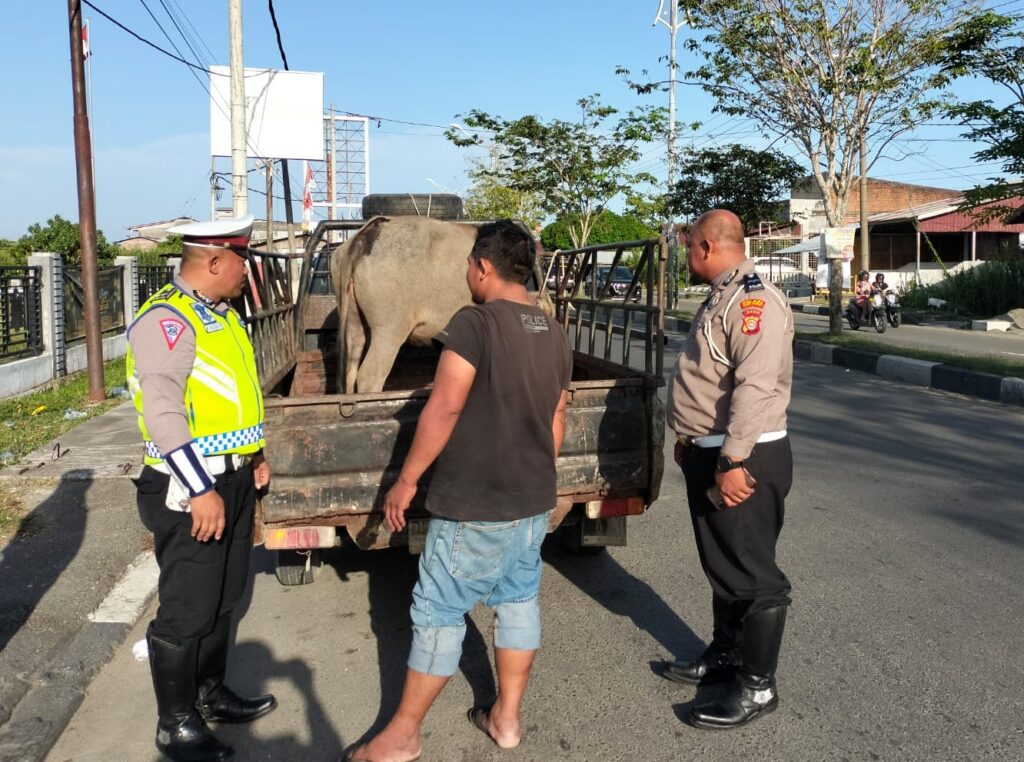 Ⓒ Hak cipta foto di atas dikembalikan sesungguhnya kepada pemilik foto