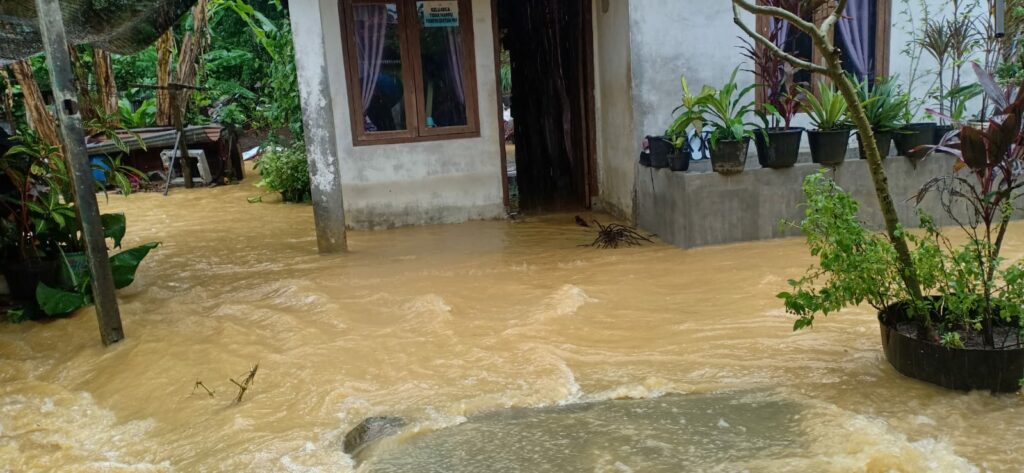 Ⓒ Hak cipta foto di atas dikembalikan sesungguhnya kepada pemilik foto