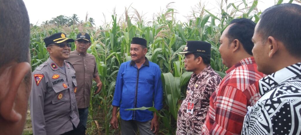 Ⓒ Hak cipta foto di atas dikembalikan sesungguhnya kepada pemilik foto