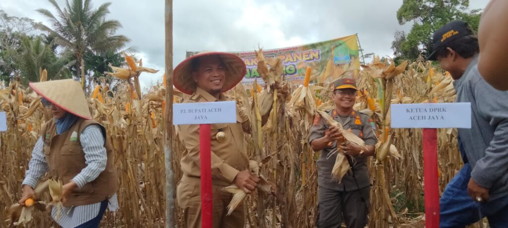 Ⓒ Hak cipta foto di atas dikembalikan sesungguhnya kepada pemilik foto