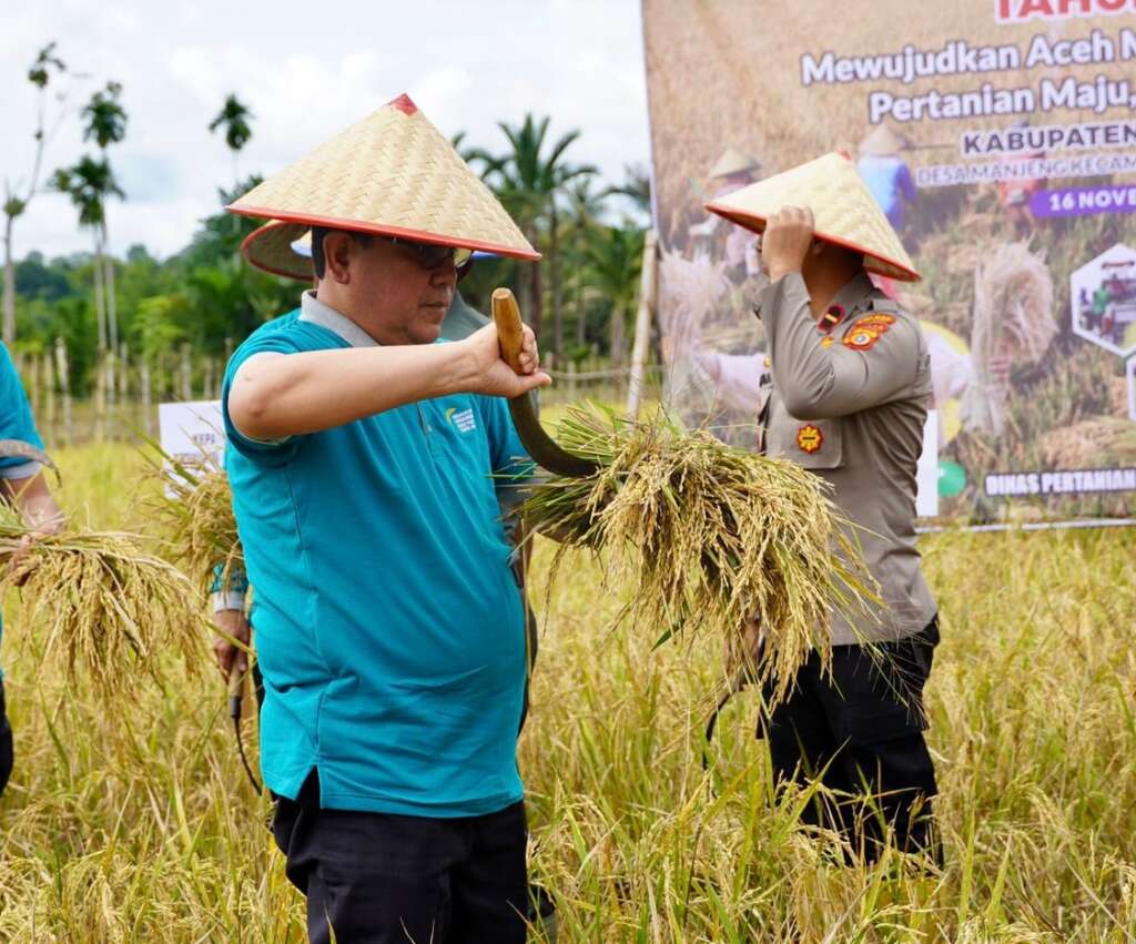 Ⓒ Hak cipta foto di atas dikembalikan sesungguhnya kepada pemilik foto