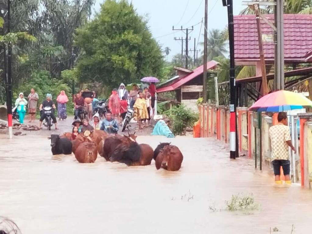 Ⓒ Hak cipta foto di atas dikembalikan sesungguhnya kepada pemilik foto