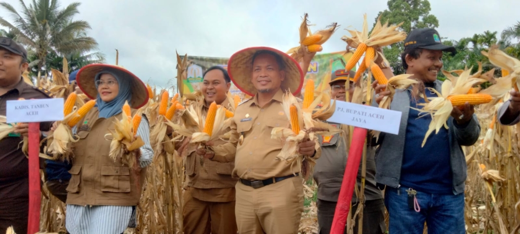 Ⓒ Hak cipta foto di atas dikembalikan sesungguhnya kepada pemilik foto