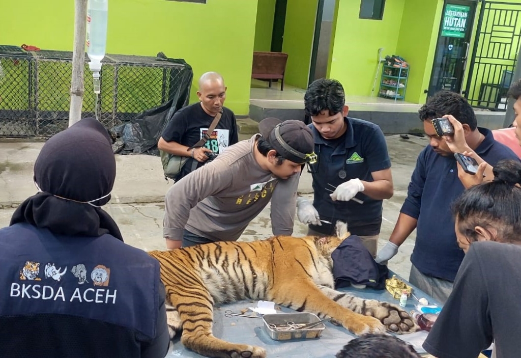 Ⓒ Hak cipta foto di atas dikembalikan sesungguhnya kepada pemilik foto