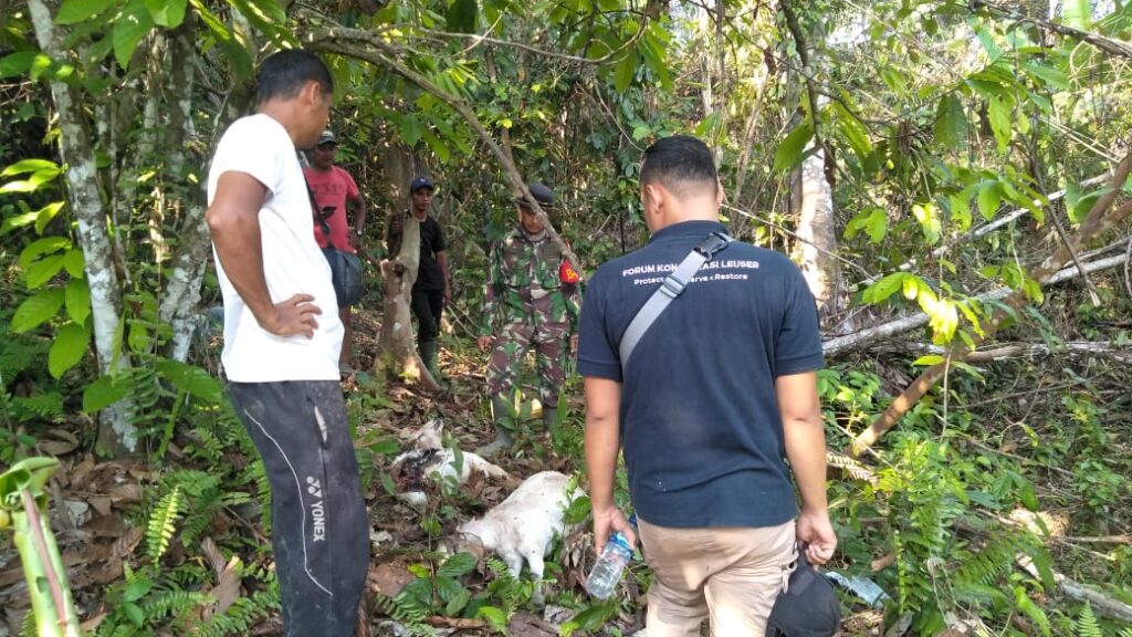 Ⓒ Hak cipta foto di atas dikembalikan sesungguhnya kepada pemilik foto