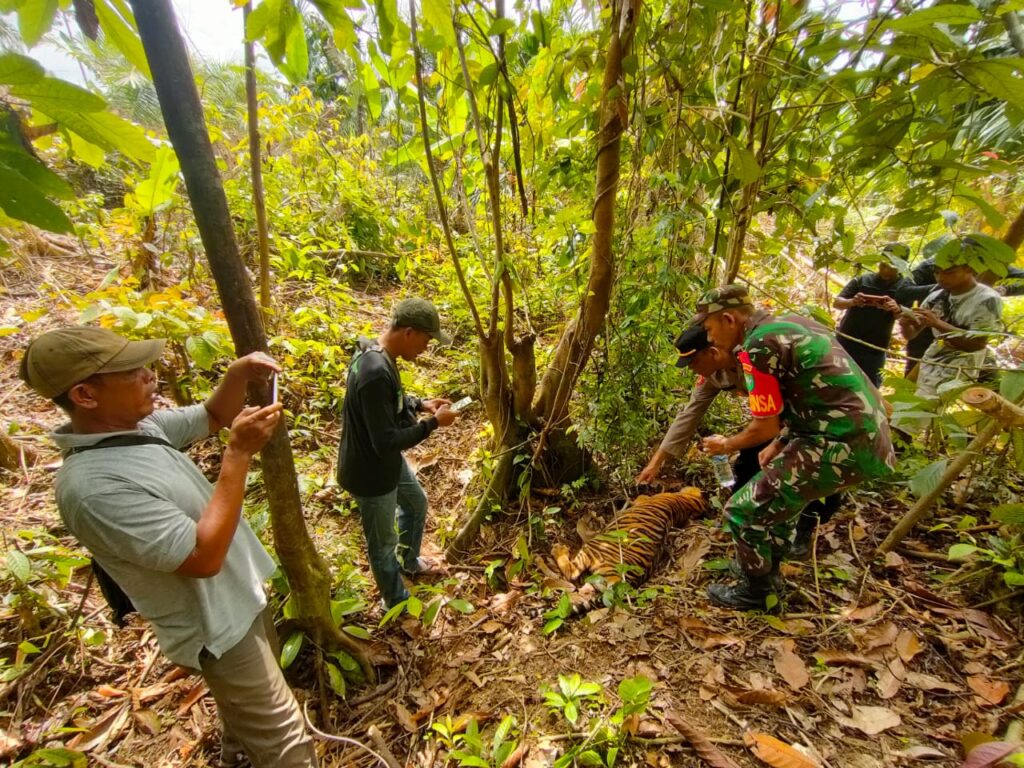 Ⓒ Hak cipta foto di atas dikembalikan sesungguhnya kepada pemilik foto