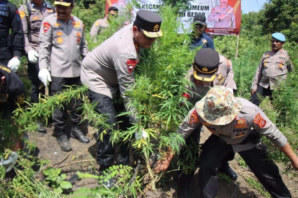 Ⓒ Hak cipta foto di atas dikembalikan sesungguhnya kepada pemilik foto