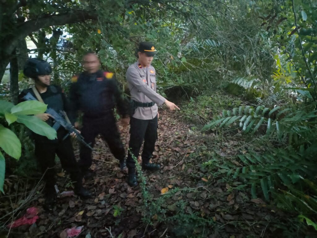 Ⓒ Hak cipta foto di atas dikembalikan sesungguhnya kepada pemilik foto