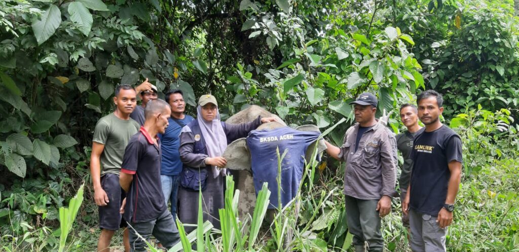 Ⓒ Hak cipta foto di atas dikembalikan sesungguhnya kepada pemilik foto