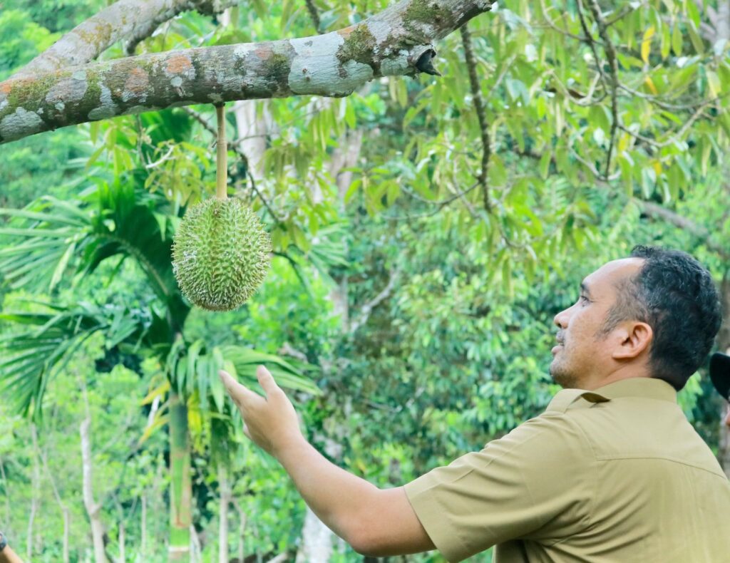 Ⓒ Hak cipta foto di atas dikembalikan sesungguhnya kepada pemilik foto