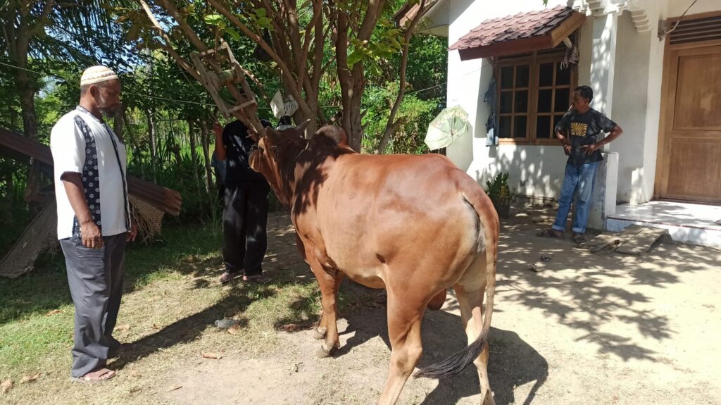 Ⓒ Hak cipta foto di atas dikembalikan sesungguhnya kepada pemilik foto