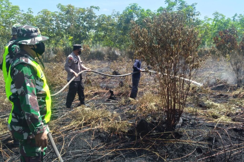 Ⓒ Hak cipta foto di atas dikembalikan sesungguhnya kepada pemilik foto