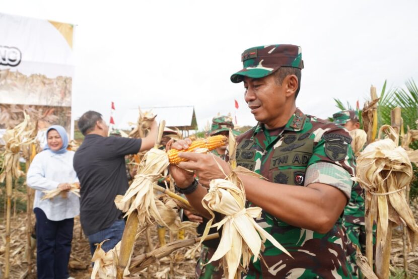 Ⓒ Hak cipta foto di atas dikembalikan sesungguhnya kepada pemilik foto