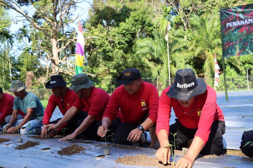 Ⓒ Hak cipta foto di atas dikembalikan sesungguhnya kepada pemilik foto