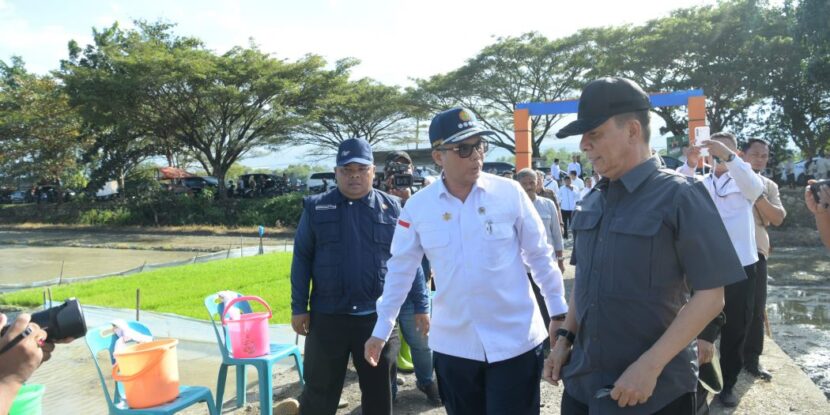 Ⓒ Hak cipta foto di atas dikembalikan sesungguhnya kepada pemilik foto