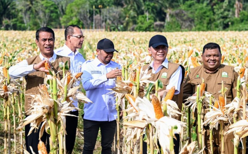 Ⓒ Hak cipta foto di atas dikembalikan sesungguhnya kepada pemilik foto