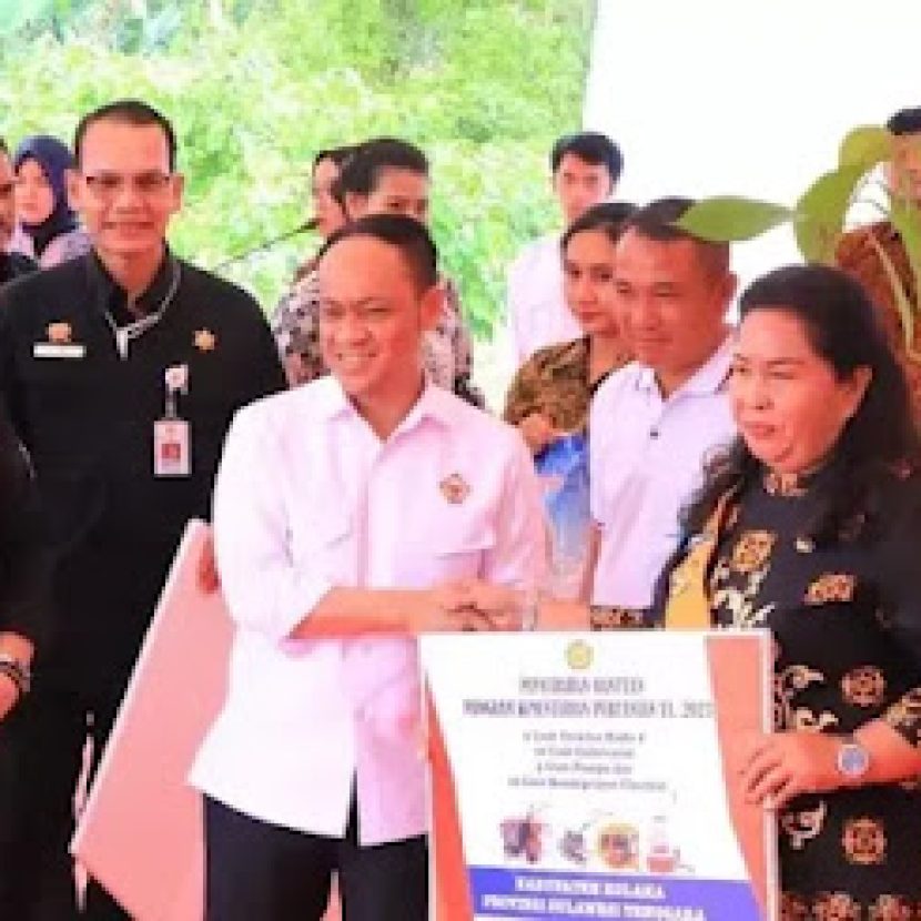 Ⓒ Hak cipta foto di atas dikembalikan sesungguhnya kepada pemilik foto