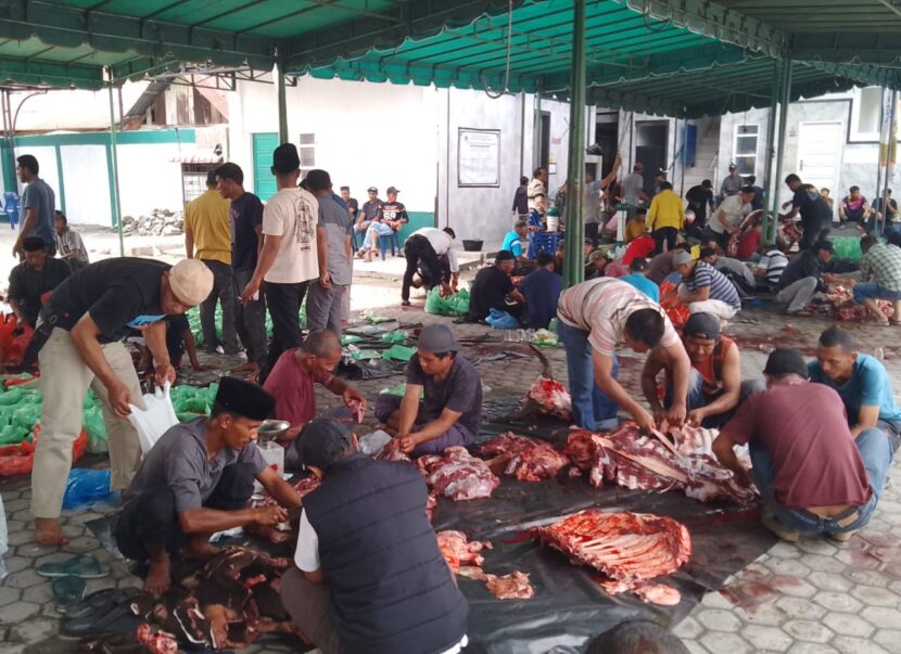 Ⓒ Hak cipta foto di atas dikembalikan sesungguhnya kepada pemilik foto