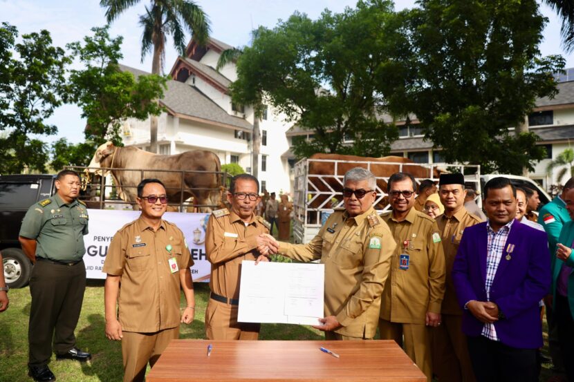 Ⓒ Hak cipta foto di atas dikembalikan sesungguhnya kepada pemilik foto