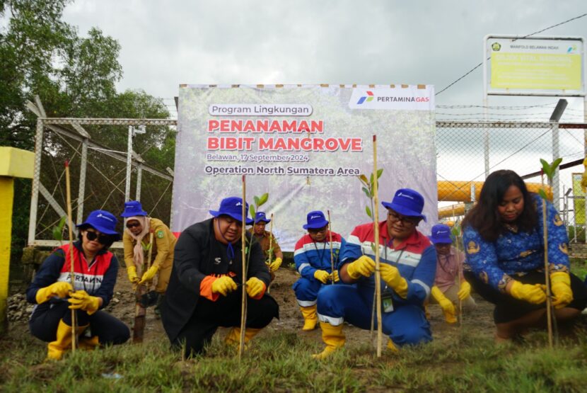 Ⓒ Hak cipta foto di atas dikembalikan sesungguhnya kepada pemilik foto