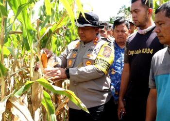 Ⓒ Hak cipta foto di atas dikembalikan sesungguhnya kepada pemilik foto