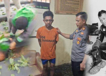 Ⓒ Hak cipta foto di atas dikembalikan sesungguhnya kepada pemilik foto