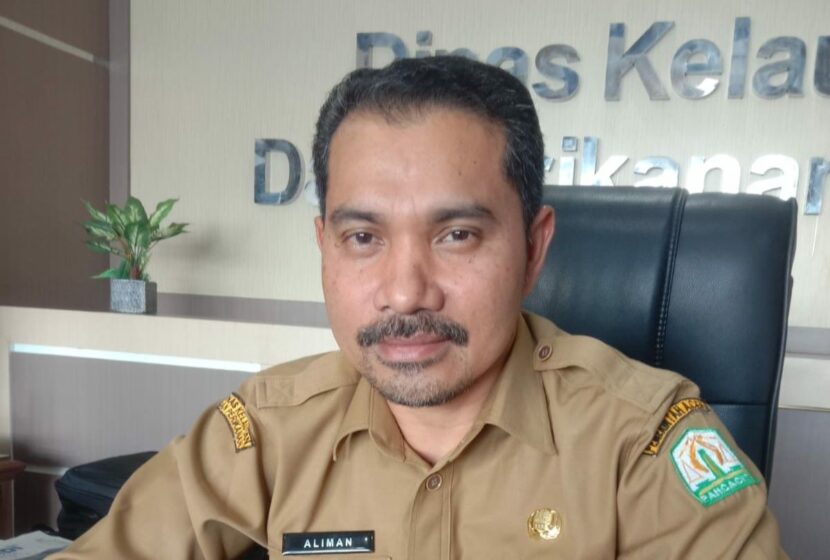 Ⓒ Hak cipta foto di atas dikembalikan sesungguhnya kepada pemilik foto