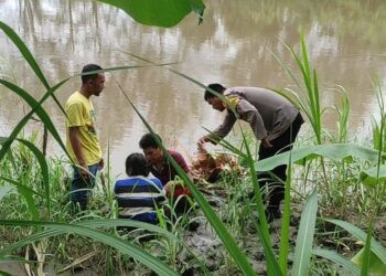 Ⓒ Hak cipta foto di atas dikembalikan sesungguhnya kepada pemilik foto